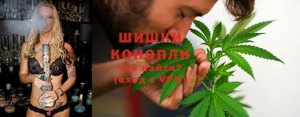 крисы Аркадак