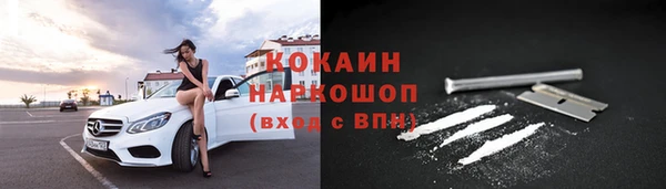 крисы Аркадак