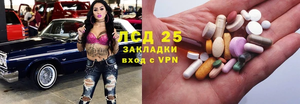 крисы Аркадак