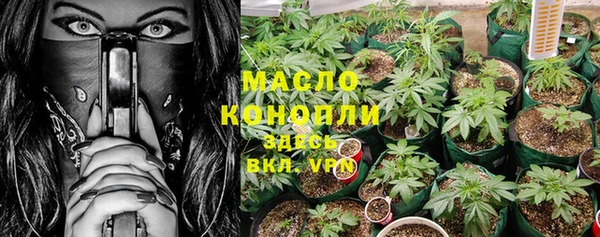 крисы Аркадак